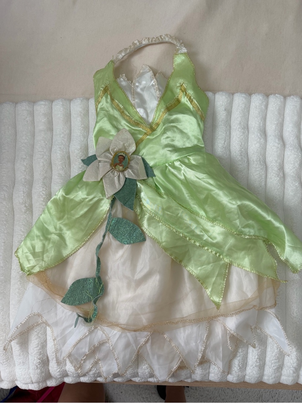 Disney Tiana Princes Dress